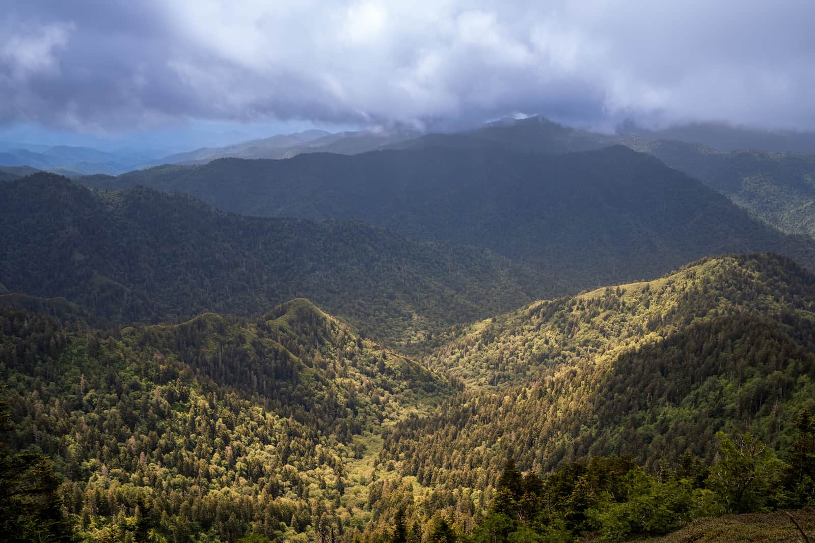 Landscape from the Nature series